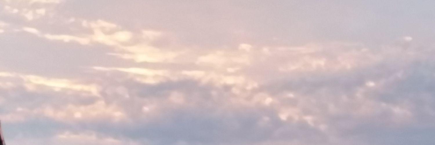 michelleb2508's profile banner image