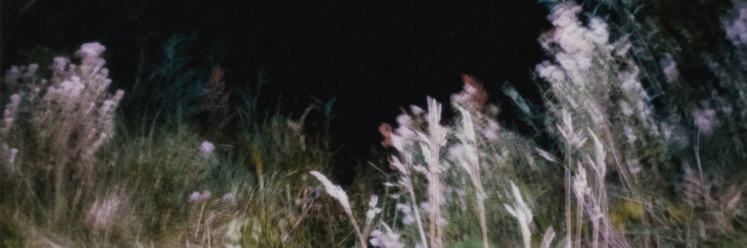 Tiplouf ｡˚ ⁀➷ banner