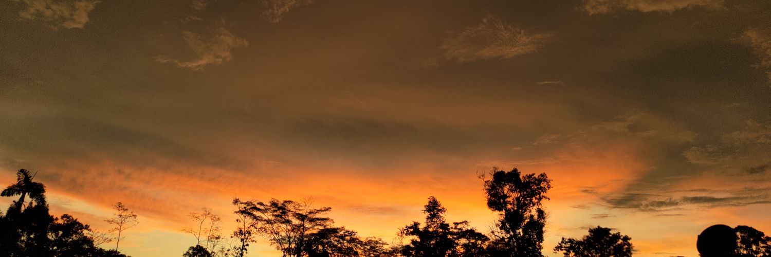 analysitabb's profile banner image