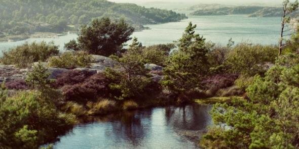 ElleCut's profile banner image