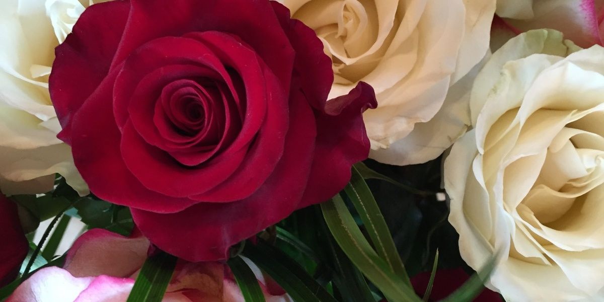 veronique delallave banner