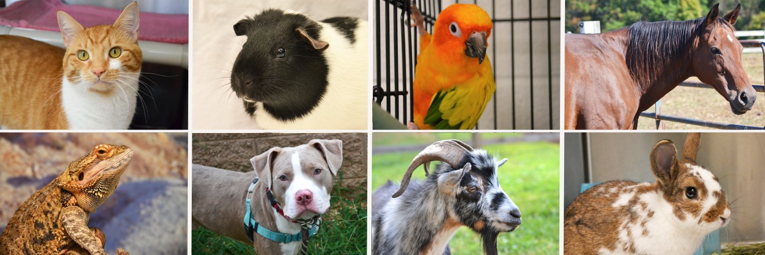 MoCo Animal Services & Adoption Center banner