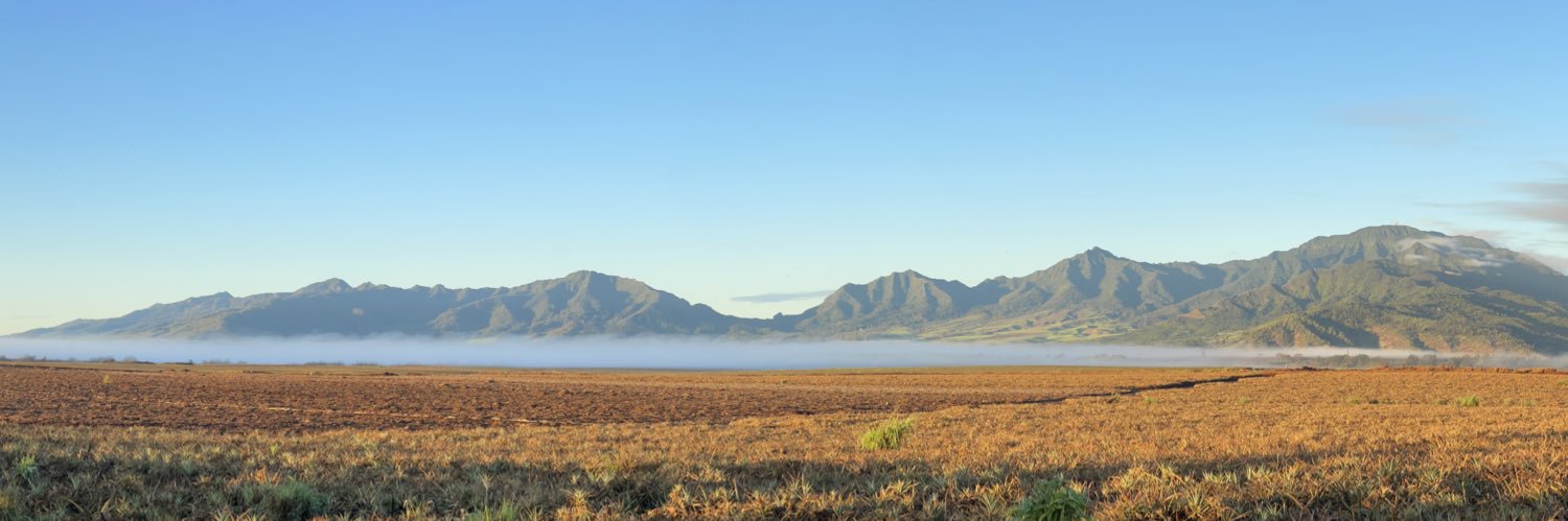 Jsataua808's profile banner image