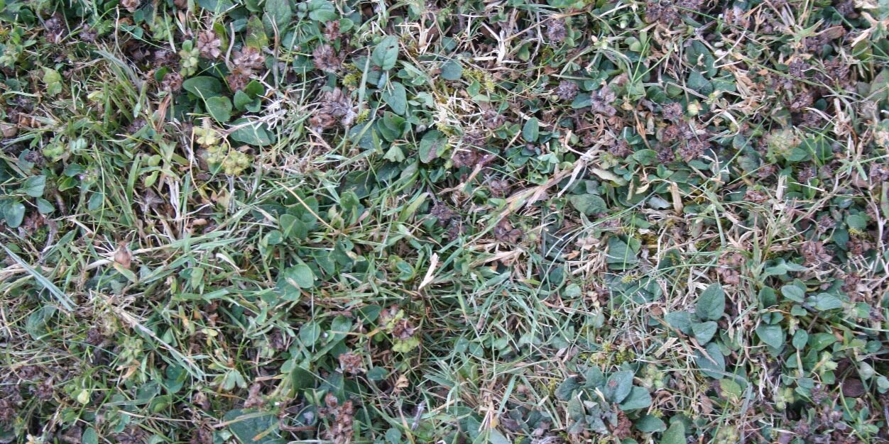 JCU4172's profile banner image
