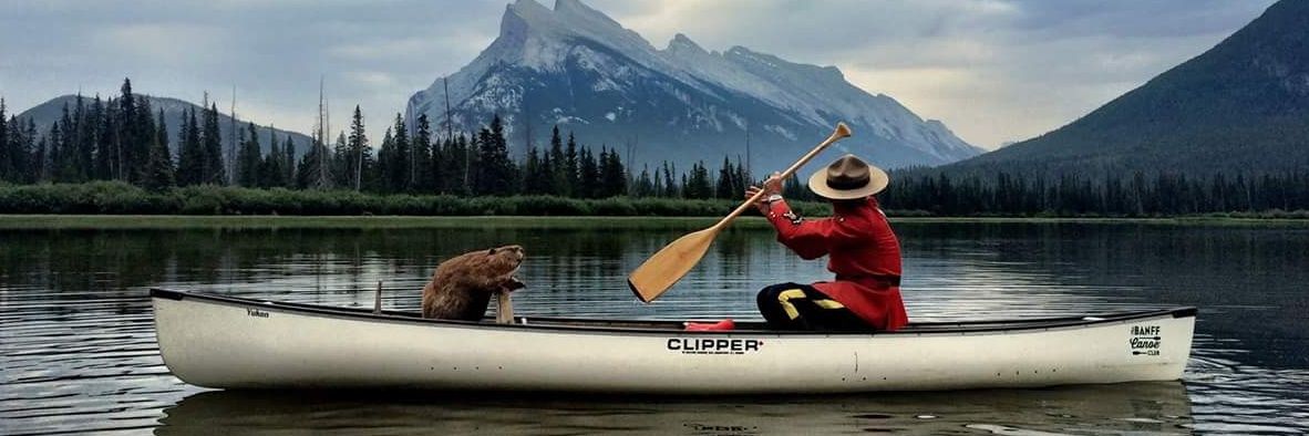 catstail6's profile banner image