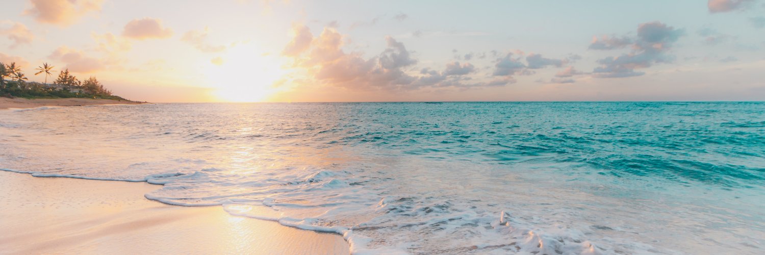 Sarah Sponcil banner