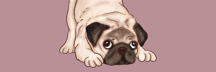 itsalezinha's profile banner image