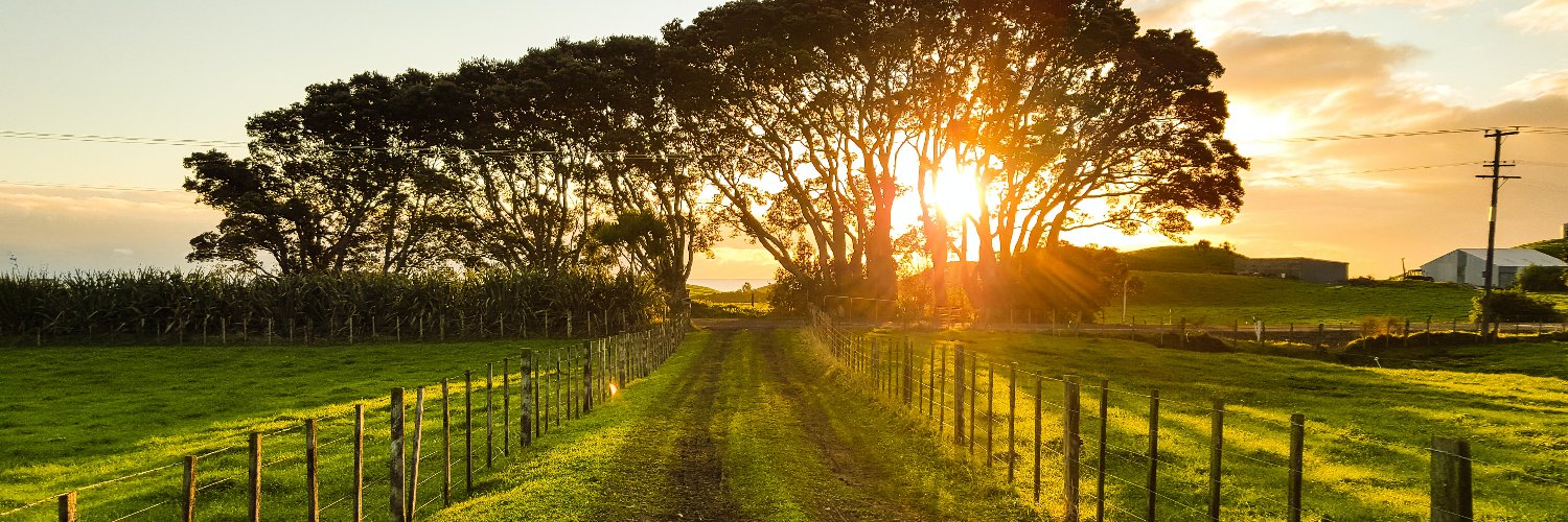Anne-Cécile Réglier banner