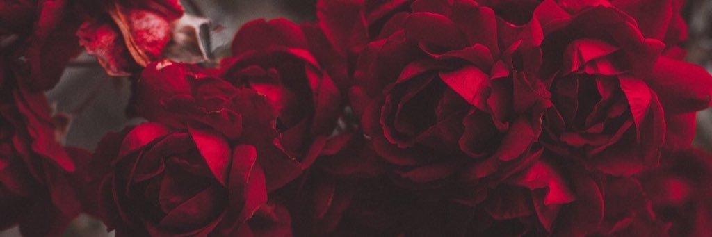 MeanBone_'s profile banner image