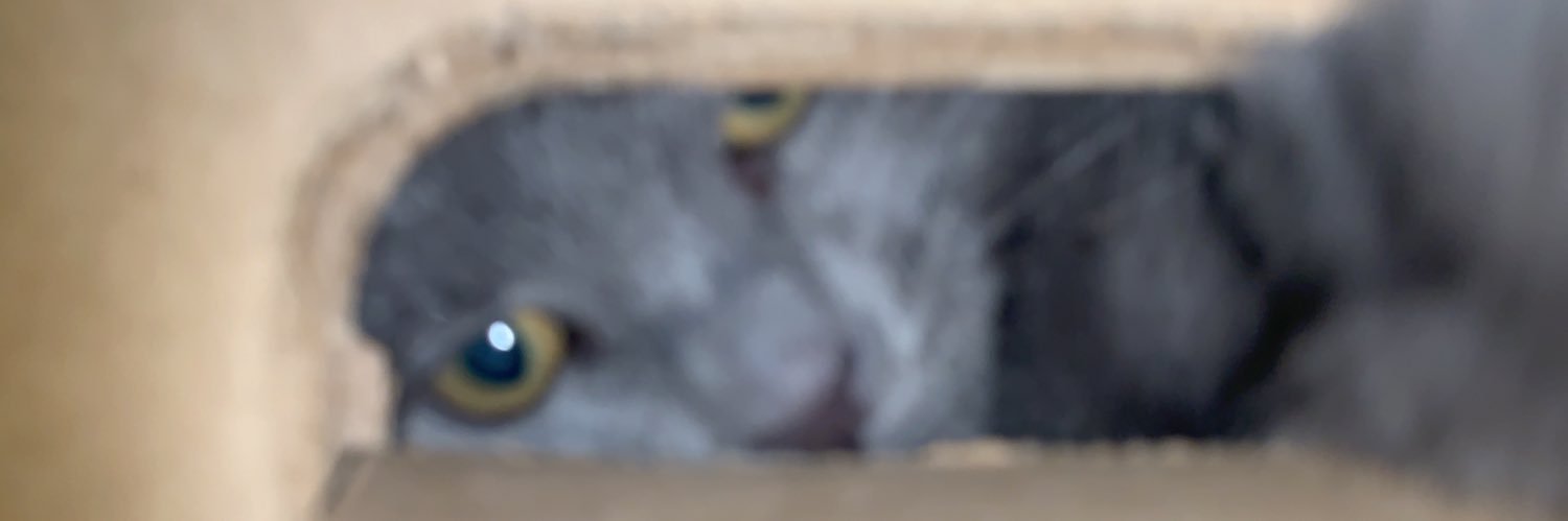 :( banner