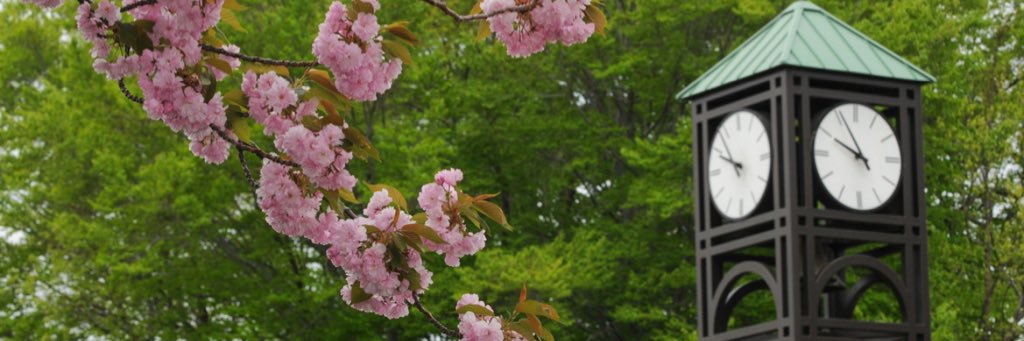 FREDHonors's profile banner image