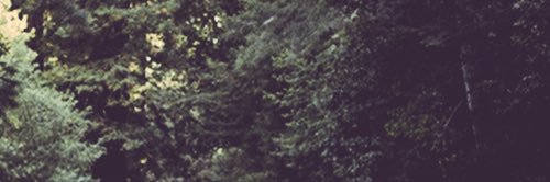 AnguishedMind's profile banner image