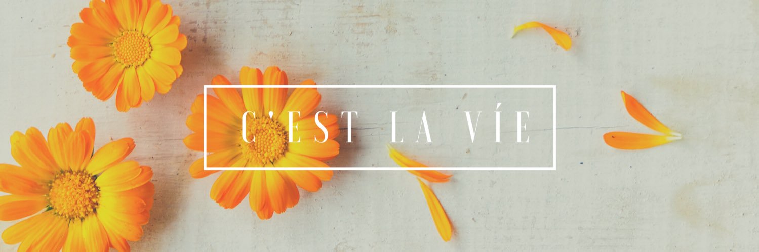 Michelle Cook banner