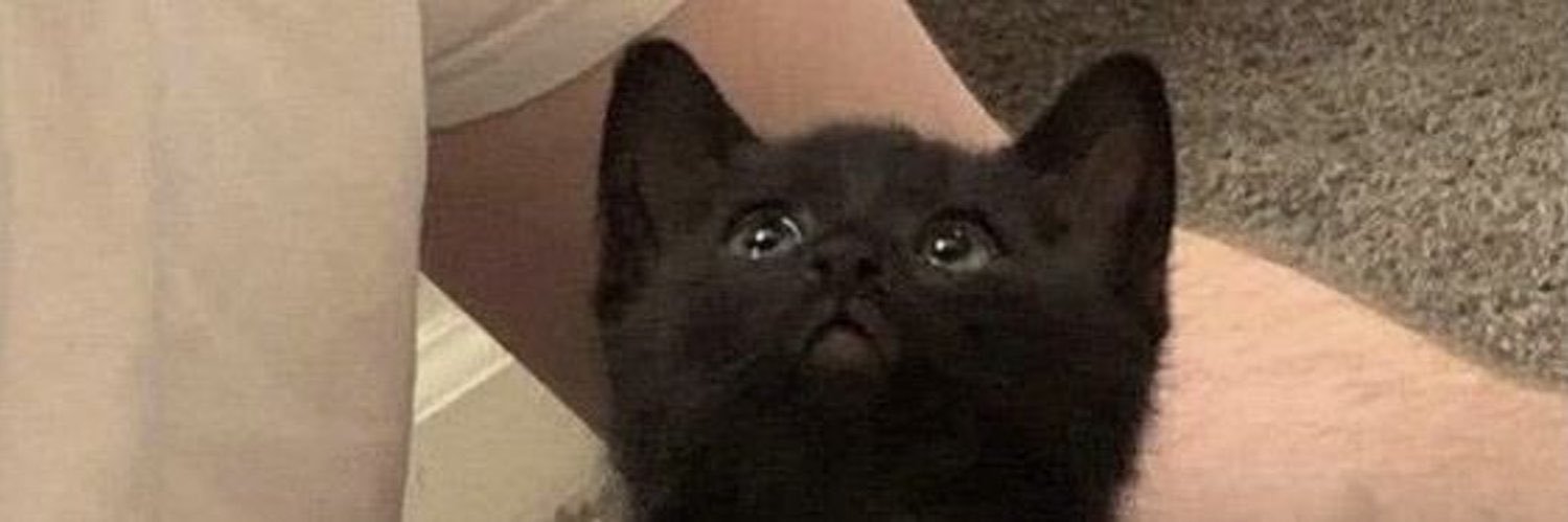 beomiao's profile banner image