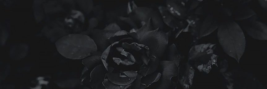 ChannahLink's profile banner image