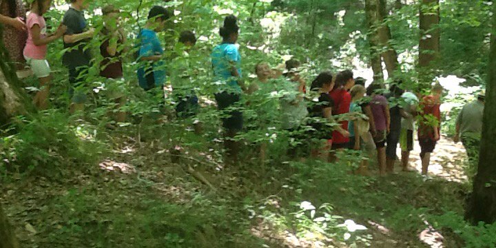 Matlock4thGrade's profile banner image