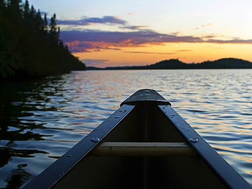 MNEnviroFund's profile banner image