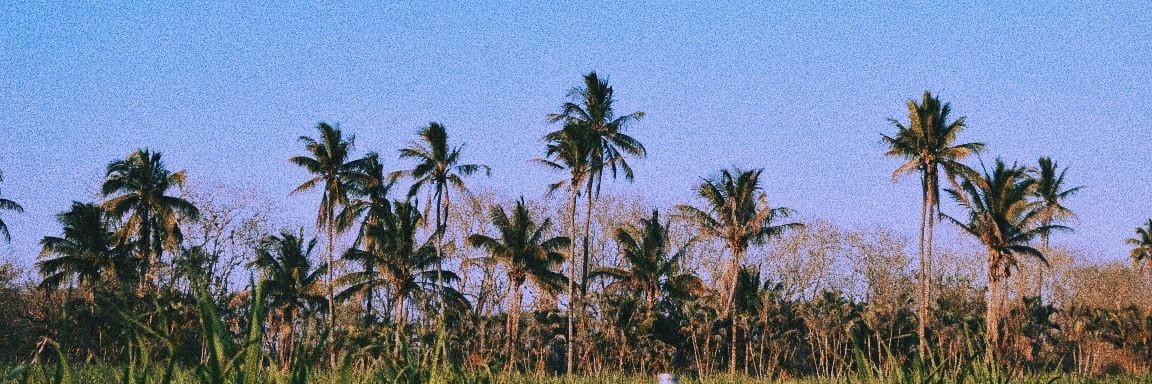 aeromnn's profile banner image