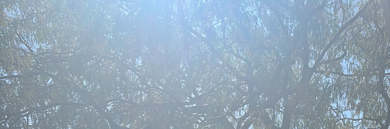 IamMasterful's profile banner image