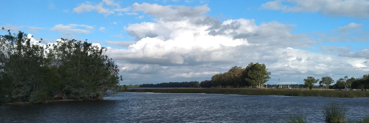 plmontania's profile banner image
