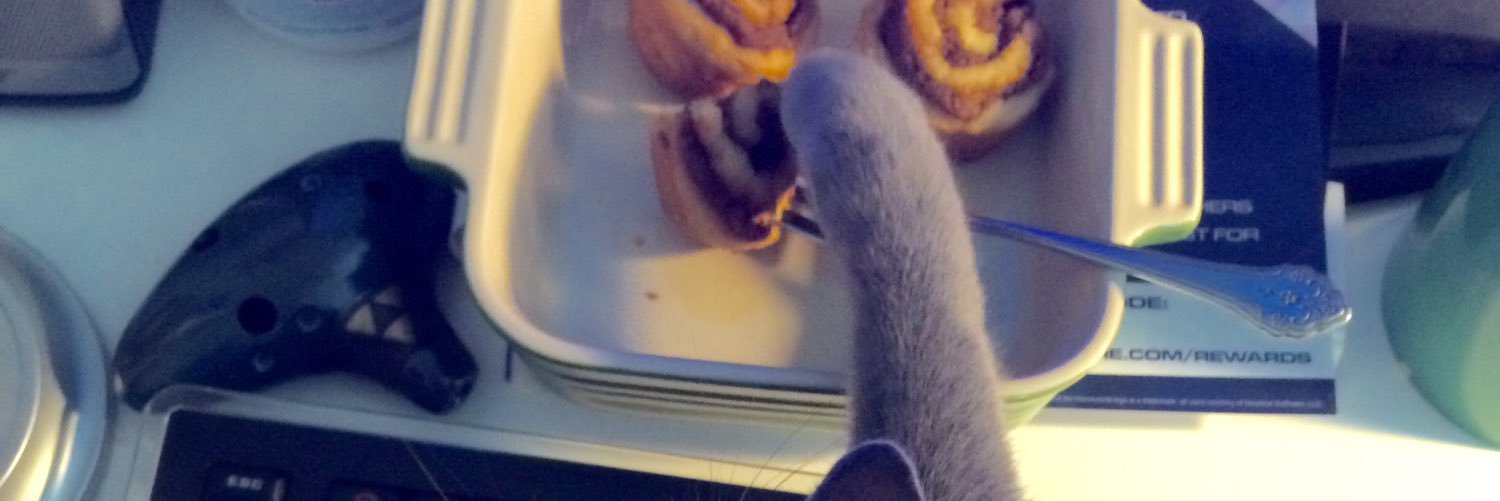 everbailey's profile banner image