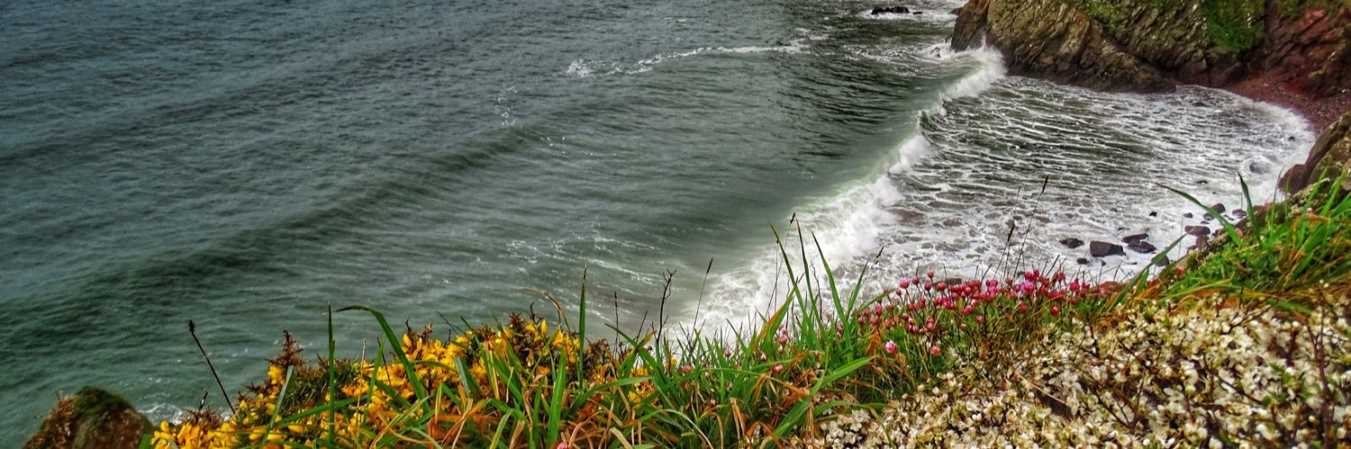 Pembrokeshire Coast & Wildlife banner