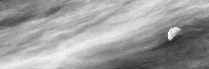 DIATRIBESHONEY's profile banner image