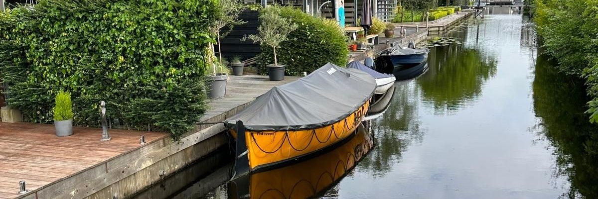 rodolfo zaragoza banner