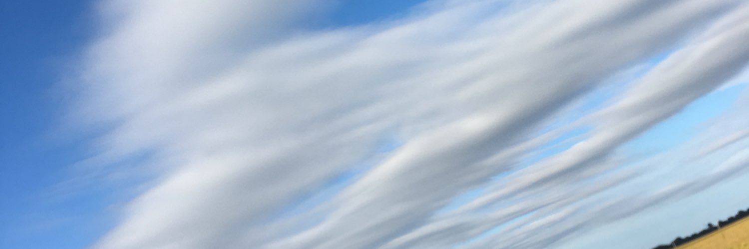 layotn's profile banner image