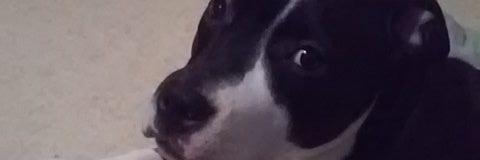 cindysenot's profile banner image