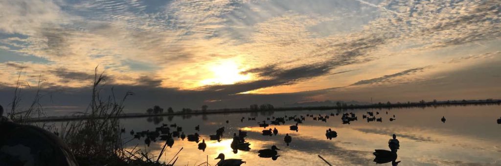 hulbert44's profile banner image