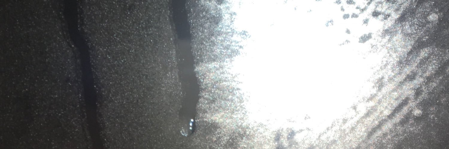 AltonenCole's profile banner image