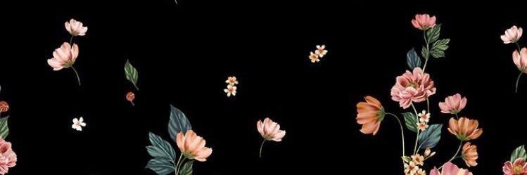 kaylinalyssa's profile banner image