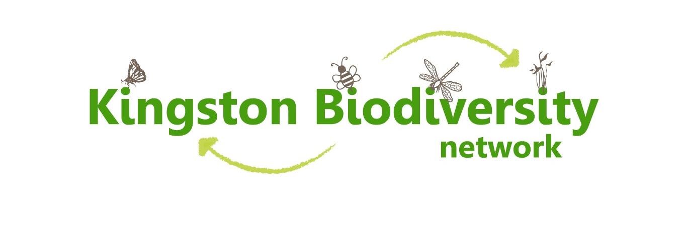 Kingston Biodiversity Network banner