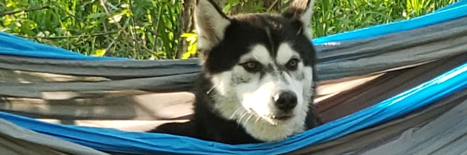 jaydenlaxer27's profile banner image