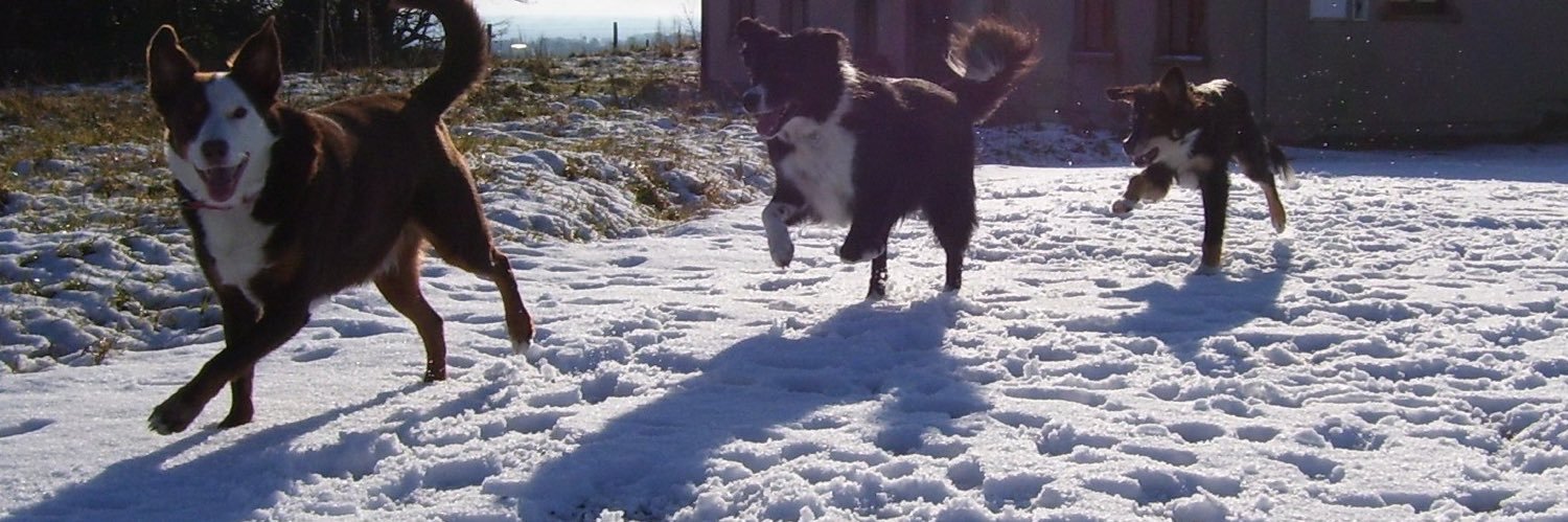 Anthony Behan mastodon.social/@technopolitics banner