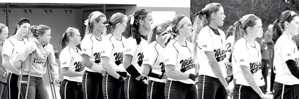 SV_Softball's profile banner image