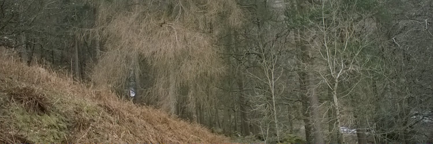 KnottyGig's profile banner image