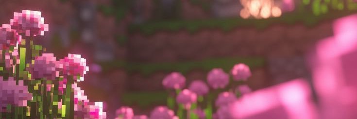 achoraul_'s profile banner image