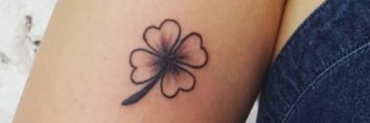 Meche_42's profile banner image