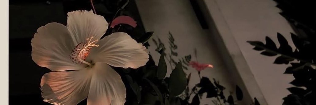 cmt1412's profile banner image