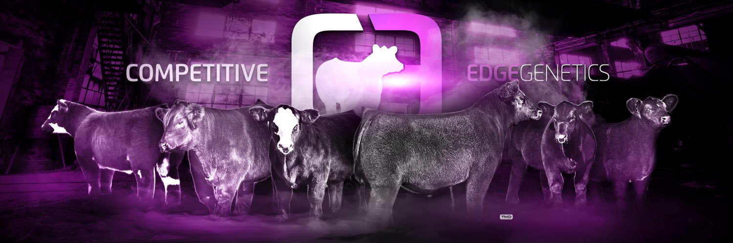 Competitive Edge banner