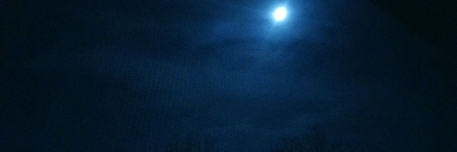 okithefox's profile banner image