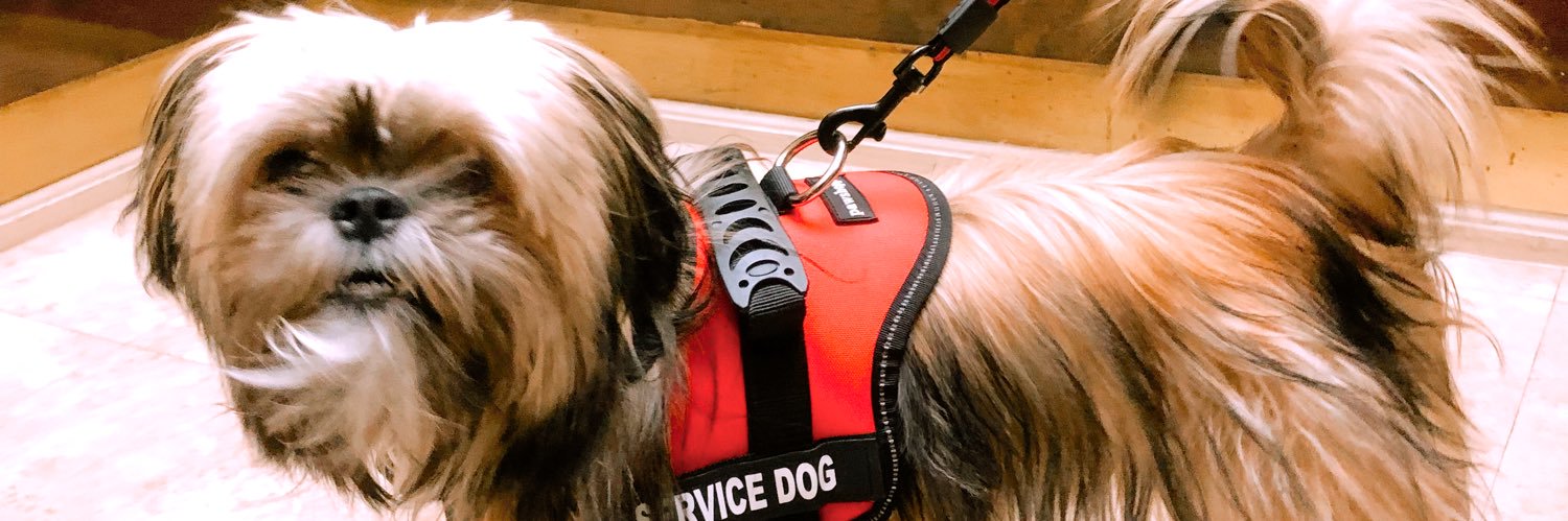 madsleish's profile banner image