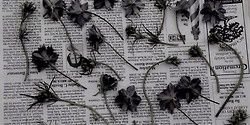 Adrian banner