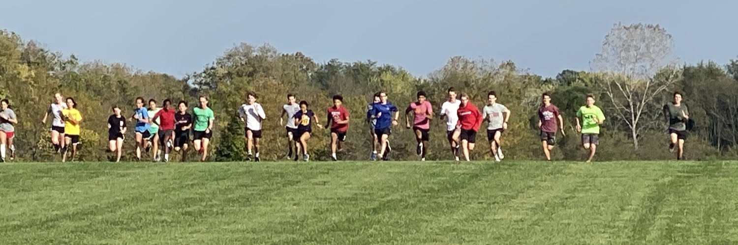 Lansing Lions T&F/CC banner