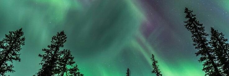 queenV_31's profile banner image