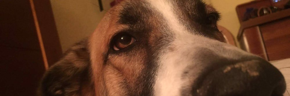 Quique Sedano banner