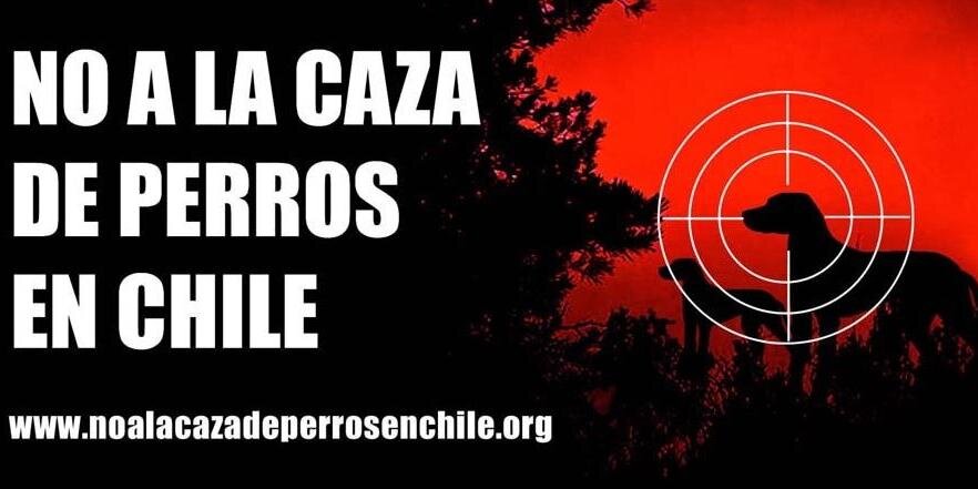 nocazadeperros's profile banner image
