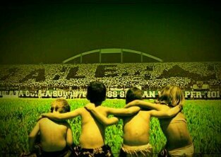フェリ banner